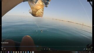 Египет, Хургада: морская ловля с лодки у кораллов и береговой ультралайт в мае-июне 2019