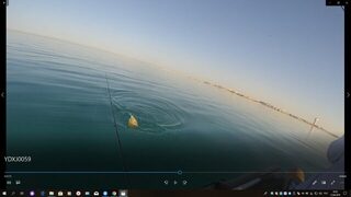 Египет, Хургада: морская ловля с лодки у кораллов и береговой ультралайт в мае-июне 2019
