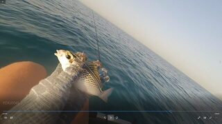 Египет, Хургада: морская ловля с лодки у кораллов и береговой ультралайт в мае-июне 2019