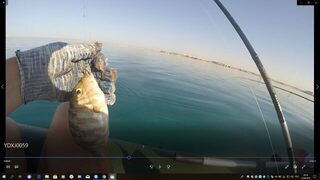 Египет, Хургада: морская ловля с лодки у кораллов и береговой ультралайт в мае-июне 2019