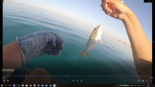 Египет, Хургада: морская ловля с лодки у кораллов и береговой ультралайт в мае-июне 2019