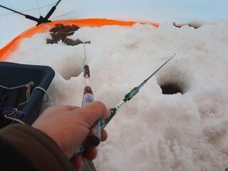 Опять Сухое море и опять махалки: Архангельская область, Белое море, Зимний берег и Летний