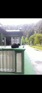 На Рице мелочь брала лепешку с поплавком, а вид рыбы выяснял по старым снимкам