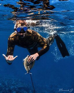 Мой подводный улов на Гавайях, еще не выходя из синей воды