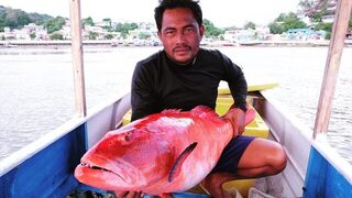 Красный групер Годжали на 16 килограммов из моря Флорес