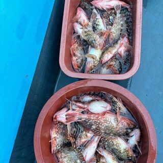Ежегодный морской выезд в Пусан: снова ловили на приманки