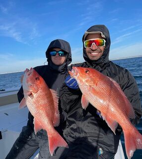 В Дестине с All Out Fishing попробовали ловить новый для нас вид