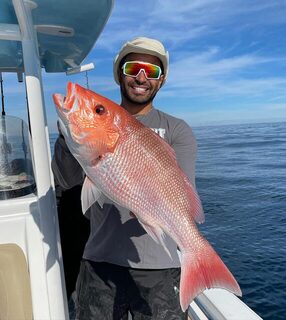 В Дестине с All Out Fishing попробовали ловить новый для нас вид