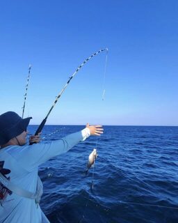 Небольшой морской улов у Дестина: рыба уже поднята над водой