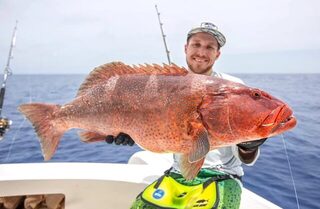 Коралловый групер у Родригеса: крючок Reefmaster HG 11/0