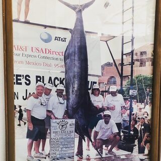 Марлин Рокки Джентиле на 993 фунта с Bisbee’s 1994 года