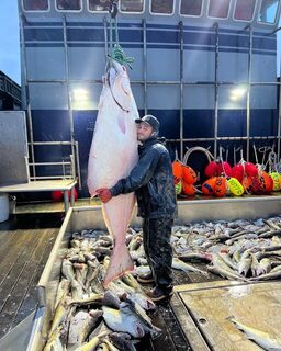 Осень 2023-го в Беринговом море: палтус на 202 фунта