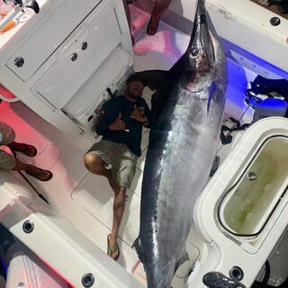 Черный марлин Crudo на 634 фунта после восьми часов борьбы в Кабо