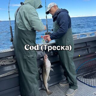 Аляска: лингкод, треска, палтус и кижуч в нашем морском улове