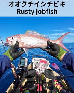 Rusty jobfish с каяка на Окинаве: сработал TG Bait 60 г