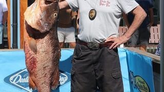 77-й Destin Fishing Rodeo на весь октябрь со взвешиванием у AJ's