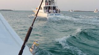 77-й Destin Fishing Rodeo на весь октябрь со взвешиванием у AJ's