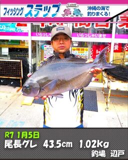 Онага-гуре на 43,5 см: морская рыбалка Мамору Киндзё у Хедо