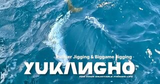 Пусан с гостями из Сингапура: утренний джиг на оставшейся зыби