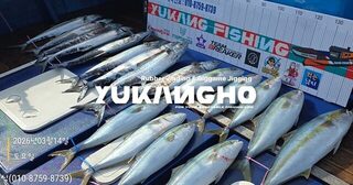 Пусан с гостями из Сингапура: утренний джиг на оставшейся зыби