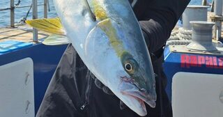 Пусан с гостями из Сингапура: утренний джиг на оставшейся зыби