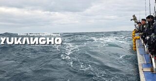 Пусан 28 февраля: тихое начало, а после половины одиннадцатого ветер