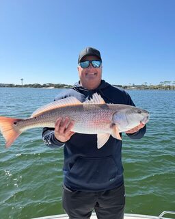 Красный горбыль на мелководье Дестина: результат прибрежного выхода