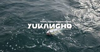 Сэндо после ночных кальмаров: около шестидесяти сериол для 14 гостей