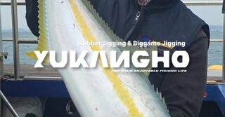 Сэндо после ночных кальмаров: около шестидесяти сериол для 14 гостей