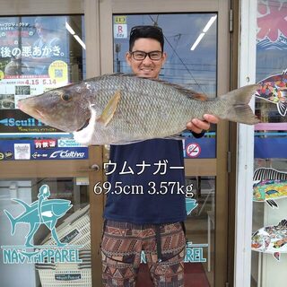 Умунага Okinawa.t.f длиной 69,5 см и весом 3,57 кг у Окинавы