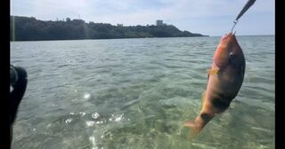 На легкие приманки у Окинавы рыба шла, а крупную все не удавалось взять