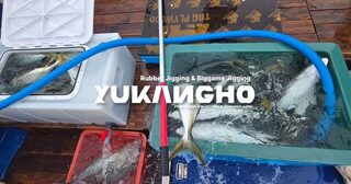 Поздний старт из Пусана: сериолы у Сэндо клевали с первой точки