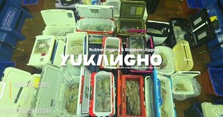Ночь 5 июня у Пусана: кальмары пришли рано, результаты от 20 до 80