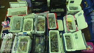 Первый Grampus Squid Festival у Пусана: смена точки вернула клев