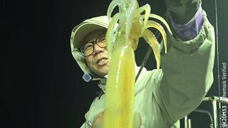 Первый Grampus Squid Festival у Пусана: смена точки вернула клев