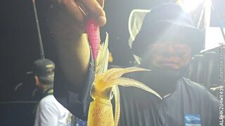 Первый Grampus Squid Festival у Пусана: смена точки вернула клев