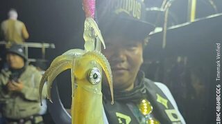 Первый Grampus Squid Festival у Пусана: смена точки вернула клев