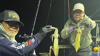 Первый Grampus Squid Festival у Пусана: смена точки вернула клев