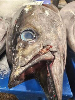 От гавайского промысла к рыбному аукциону: путь Laakea Fish Co