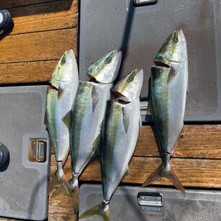 У Пусана ждали крупной поклевки под ветром и морской волной