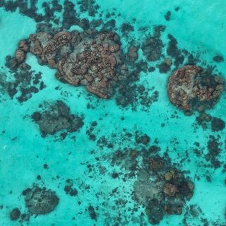 Три дня у Экзмута ходили по берегу и искали рыбу без лодки