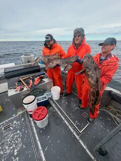 С Landshark Outdoors и его семьей провели рыболовную неделю в Ситке