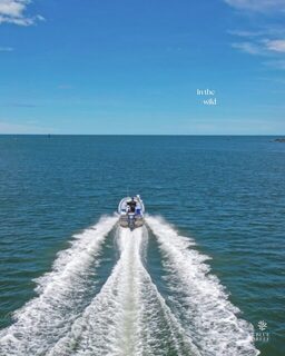Ручная снасть для коралловой форели Blue Reef на Большом Барьерном рифе