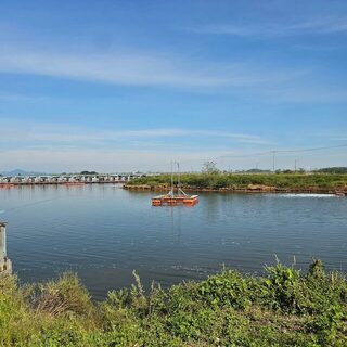 На корейской рыбалке поймали красного морского леща чамдома