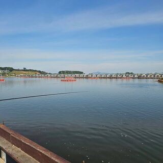 На корейской рыбалке поймали красного морского леща чамдома