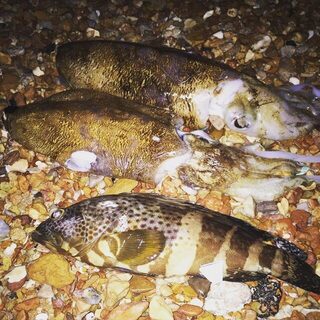 Возвращение на море у Аль-Хайрана: рыбалка с надувной лодки в Маскате