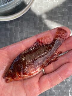 На Хайнане со скромным уловом оценили морскую рыбалку глазами клиента