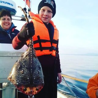 Морской скат после лодочной рыбалки у Ольгинки на Черном море