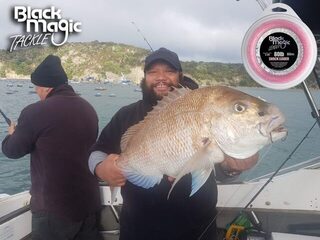 Снэппер Джимми 77 см на розовый поводок 80 lb у Коромандела