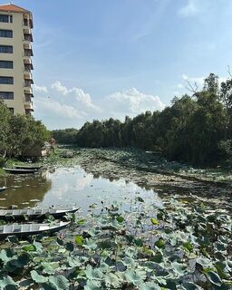 В дельте Меконга провели день с местной едой и рыбалкой